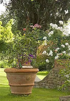 Torre Di Bellosguardo Hotel Florence